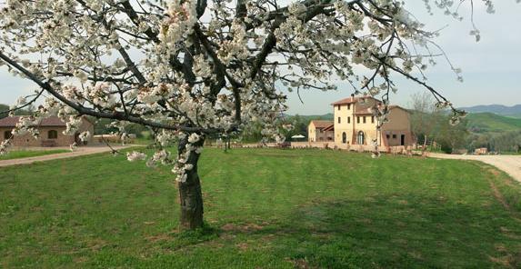 Agriturismo Il Mulinaccio Vila Volterra Exterior foto